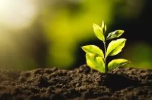 Consultation Projet Citoyen sur le cadre de vie